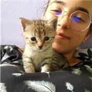 Sono una giovane ragazza con tantissime passioni! Amo gli animali, le lingue e la pallavolo!